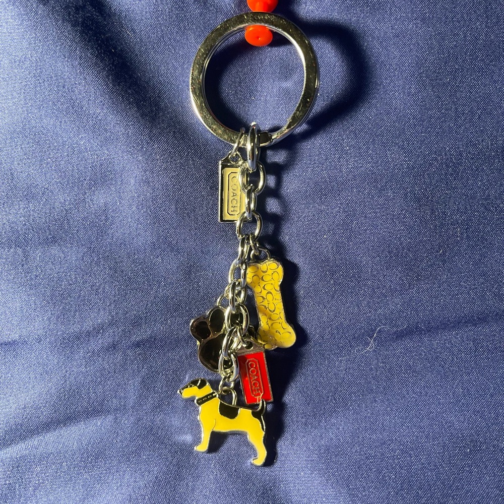 Coach Silver and Yellow Dog Collar